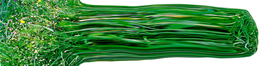 01-31-01 Beschleunigtes Gras 01-31-01 Beschleunigtes Gras